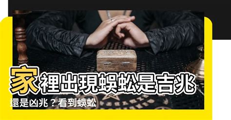 家裡出現老鼠代表什麼 風水師傅介紹